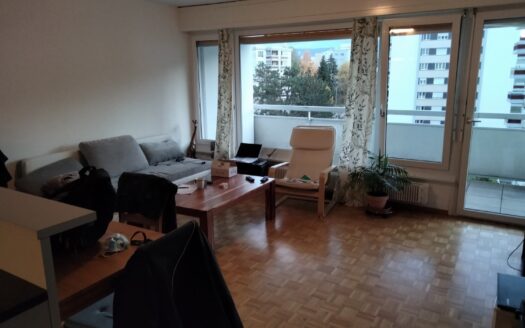 Confortable appartement de 2.5 pièces avec vue