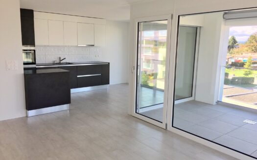 Juste terminé : superbe 2.5 à Posieux