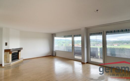 Magnifique surface commerciale à Marly