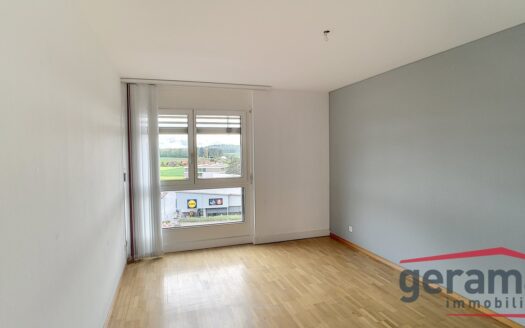 Magnifique surface commerciale à Marly