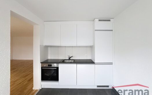 Appartement de 1.5 pièce à Mon-Repos