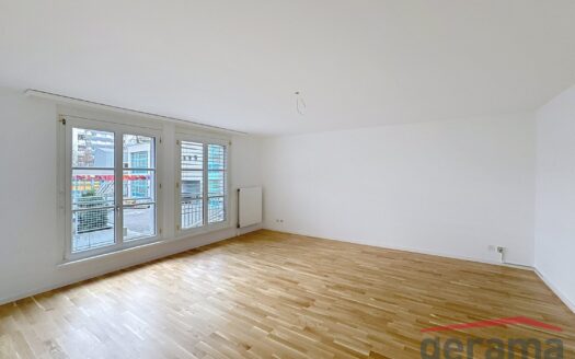 Appartement de 1.5 pièce à Mon-Repos