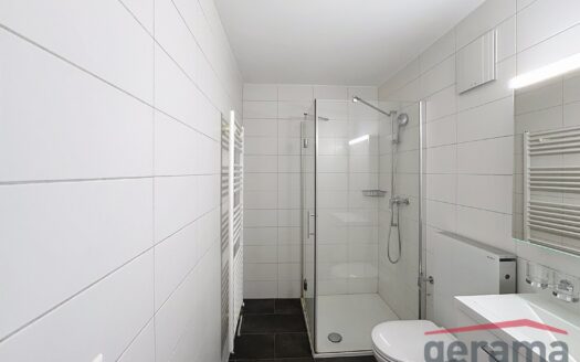 Appartement de 1.5 pièce à Mon-Repos