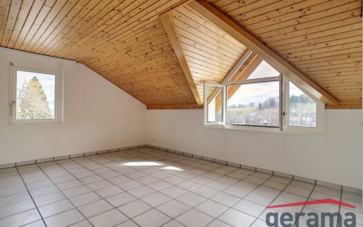 Charmant 3.5 pièces à Chavannes-les-Forts