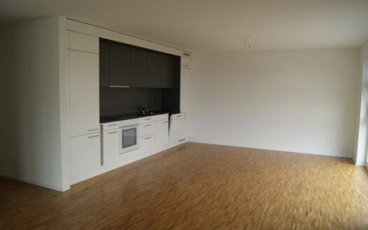 Appartement 3,5 pièces dans le quartier du jura