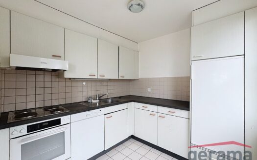 Joli 4.5 pièces au Schönberg !