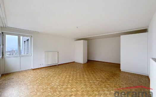 Joli 4.5 pièces au Schönberg !