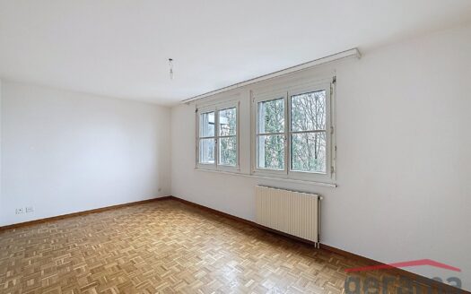 Joli 4.5 pièces au Schönberg !