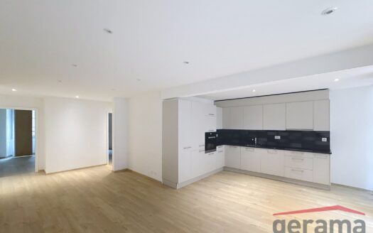 Charmant appartement de 4 pièces à Fribourg