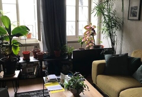 Appartement 3.5 pcs en vieille ville