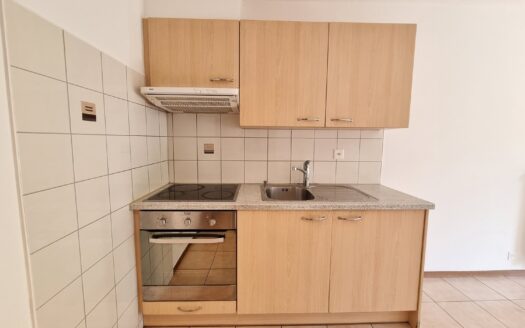 1.5 pièces au 1er à Bex!