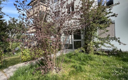 Très bel appartement rénové de 4.5 pces avec jardin