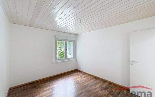 Appartement de 4.5 pièces au rez-de-chaussée