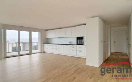 Appartement de 5,5 pièces récent à Matran