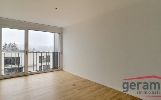 Appartement de 5,5 pièces récent à Matran