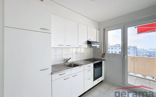 Appartement 2.5 pièces avec belle vue