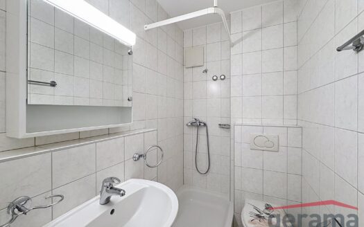 Appartement 2.5 pièces avec belle vue