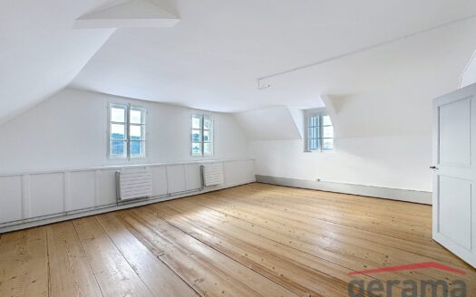 Duplex 5.5 pièces au Château de la Petite Riedera