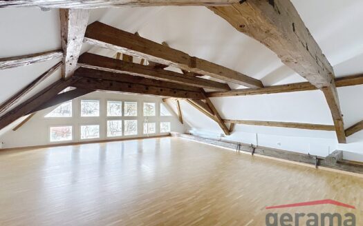 Duplex 5.5 pièces au Château de la Petite Riedera