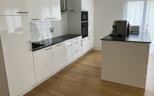 Moderne 5.5 Zimmer-Wohnung in Schmitten