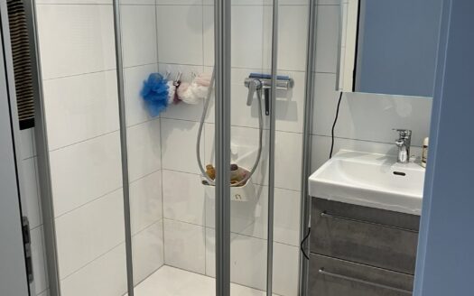 Moderne 5.5 Zimmer-Wohnung in Schmitten