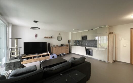 Appartement 2.5 pièces à l&rsquo;Impasse des Fruits !