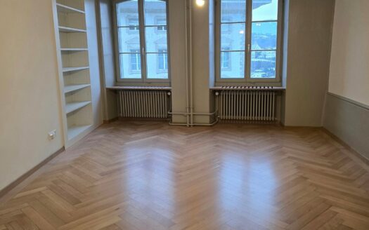 Magnifique appartement à louer à Fribourg
