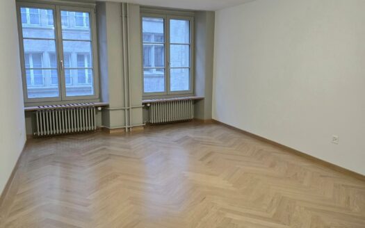 Magnigiques appartements à louer à Fribourg