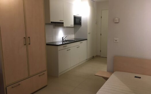 Appartement 1.5 pcs au 5ème étage