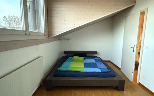 2.5 Zimmer-Wohnung in Düdingen