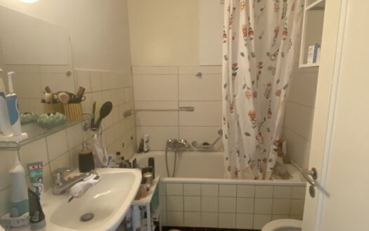 Appartement 3 pièces situé Impasse de la Forêt 4