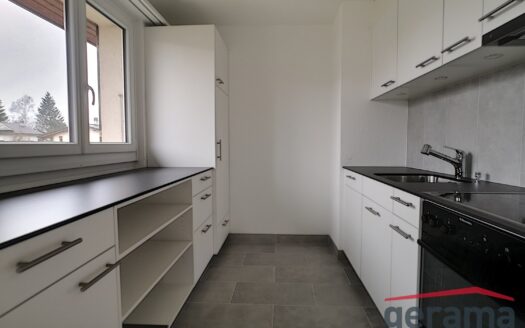 Renovierte 3.5 Zimmer-Wohnung in Tentlingen