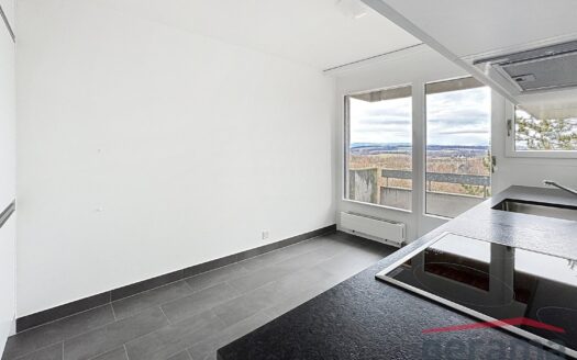 Appartement 4.5 pièces au 7ème