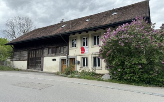 Charakteristisches Bauernhaus mit 3 Wohnungen