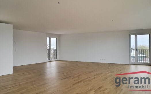 Appartement de 5,5 pièces récent à Matran