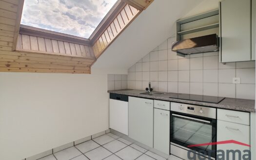 Charmant 3.5 pièces à Chavannes-les-Forts