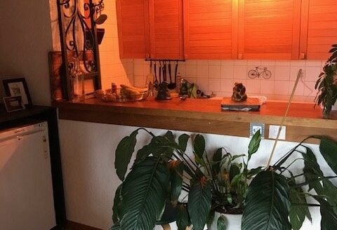 Appartement 3.5 pcs en vieille ville