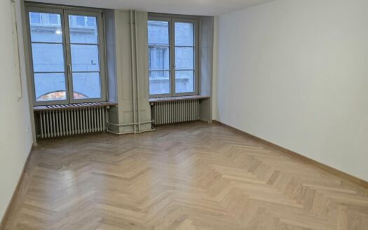 Magnifique appartement à louer à Fribourg