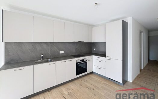 À louer – Appartement neuf de 3.5 pièces à Billens