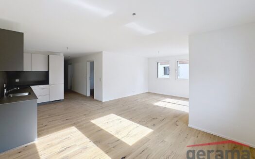 À louer – Appartement neuf de 3.5 pièces à Billens