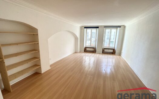 Studio parfaitement situé, à Fribourg