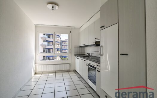 Grand appartement de 4.5 pièces au 1er étage