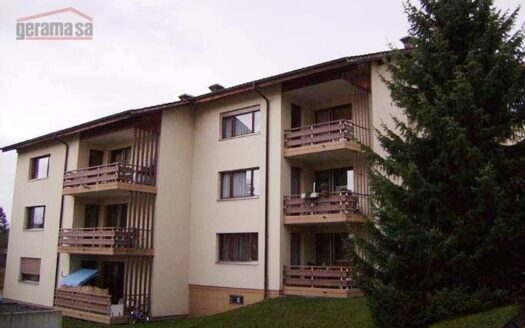 Charmant studio à Belfaux