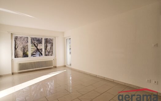 Magnifique appartement de 3.5 pièces au 4ème étage