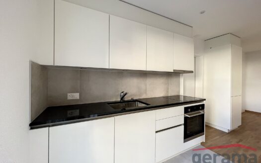 Spacieux appartement au Schönberg !