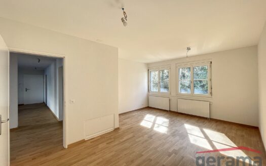 Spacieux appartement au Schönberg !