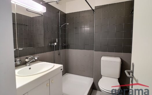 Appartement 1.5 pièce