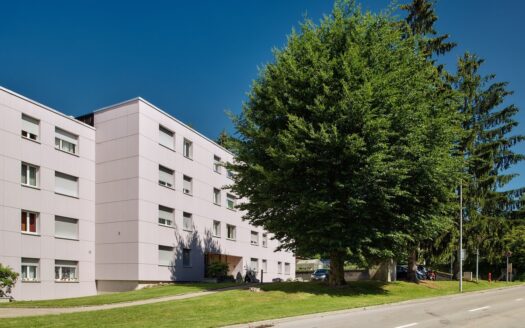 Appartement 1.5 pièce au rez