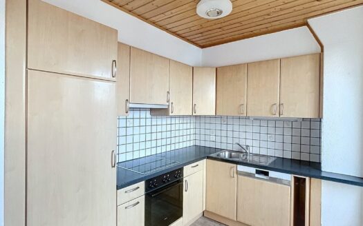 Logement de 3.5 pièces avec vue sur le lac