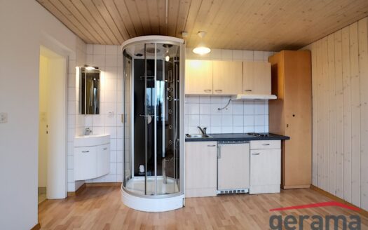 Petit studio dans un cadre verdoyant